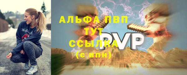 дурь Няндома