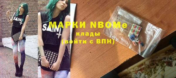 дурь Няндома
