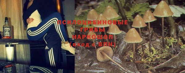 ПСИЛОЦИБИНОВЫЕ ГРИБЫ Каменск-Шахтинский