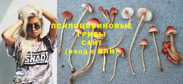 марки nbome Осинники