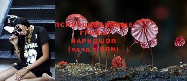 стафф Нягань