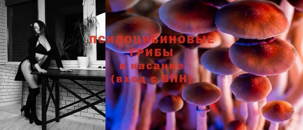стафф Нягань