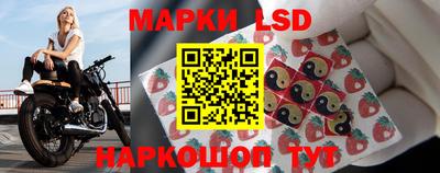 стафф Дубна