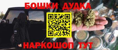 стафф Дубна