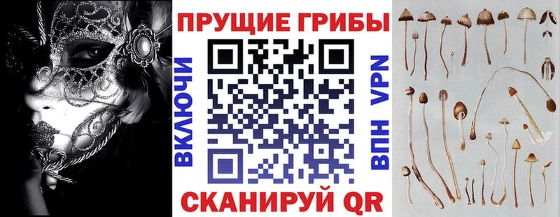 где найти   Кстово  Псилоцибиновые грибы Psilocybe 