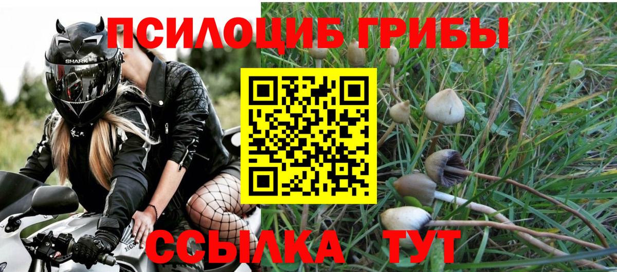 Галлюциногенные грибы ЛСД Кстово