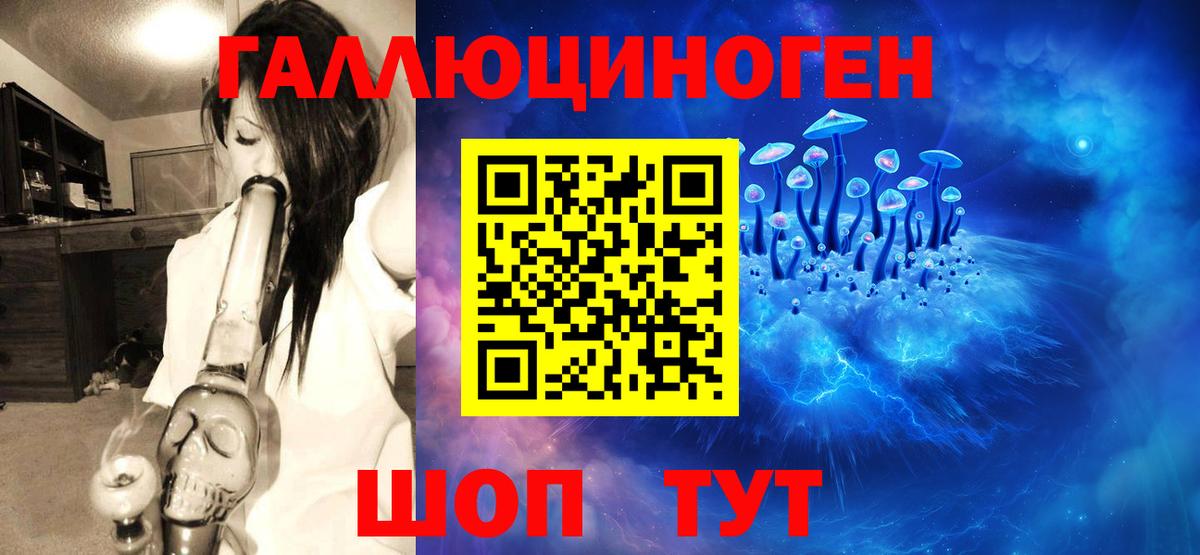 Псилоцибиновые грибы Psilocybe  Кстово 