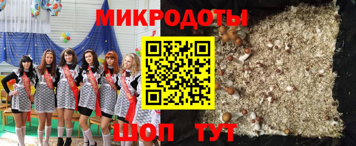 Кстово  где можно купить   Вход с VPN  Галлюциногенные грибы прущие грибы 